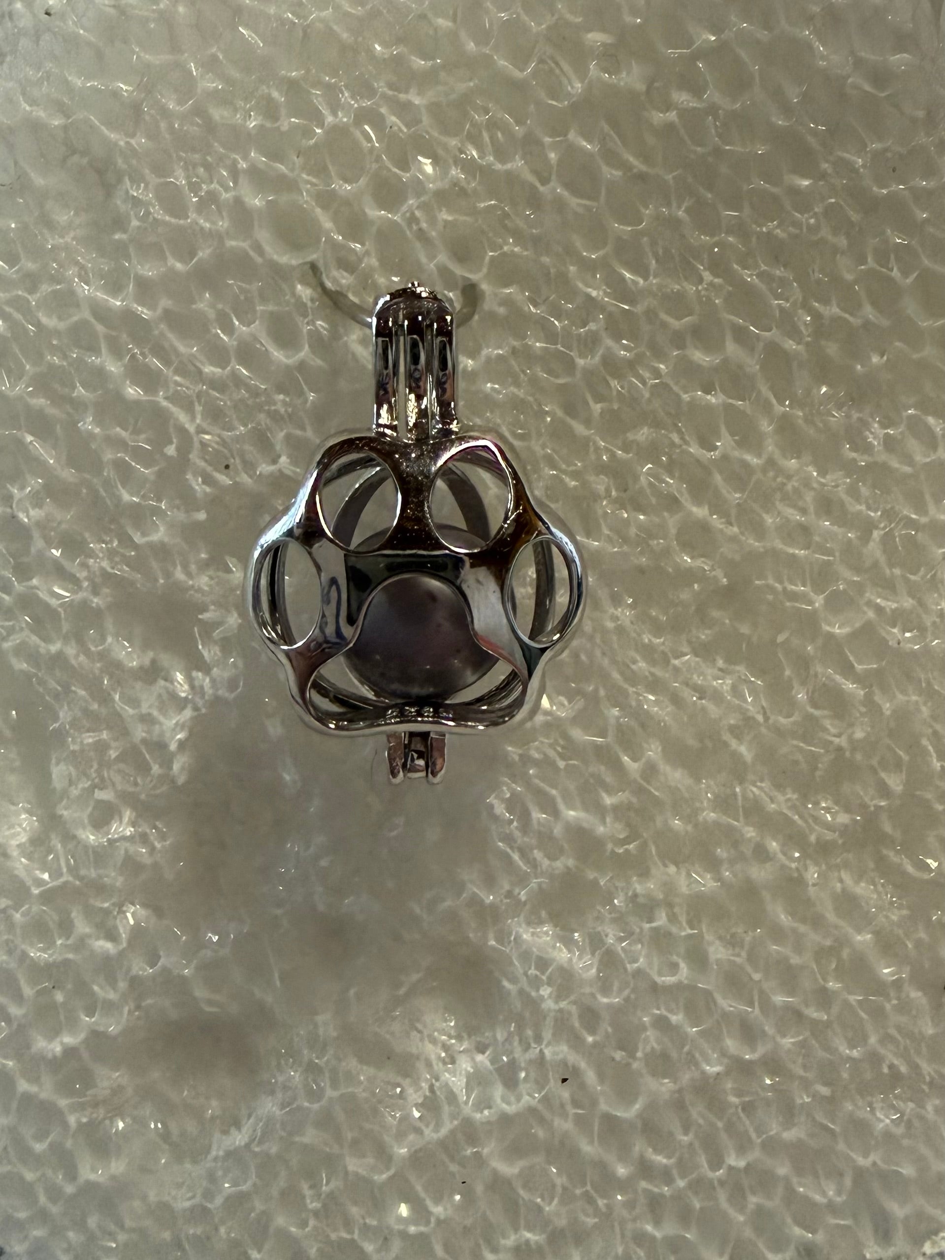 SSC-214:  Paw Print